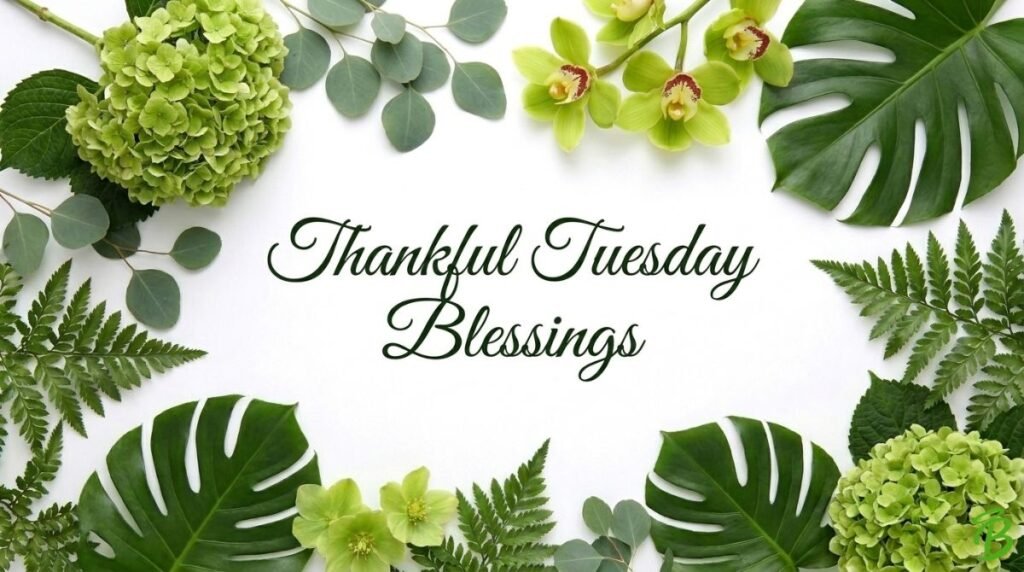 Thankful Tuesday Blessings